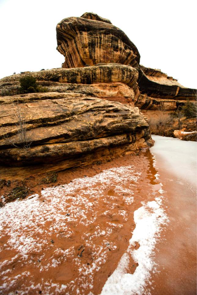 Rick Egan  |  The Salt Lake Tribune

Ice floats on the water next to the trail between Owachomo Bridge and Kachina Bridge, in Natural Bridges National Monument, Friday, January 13, 2017.