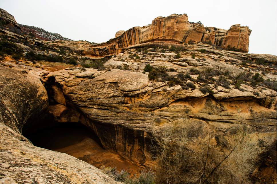 Rick Egan  |  The Salt Lake Tribune

The trail between Owachomo Bridge and Kachina Bridge, in Natural Bridges National Monument, Friday, January 13, 2017.