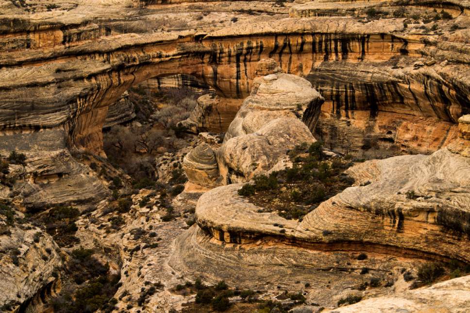 Rick Egan  |  The Salt Lake Tribune

Natural Bridges National Monument, Friday, January 13, 2017.