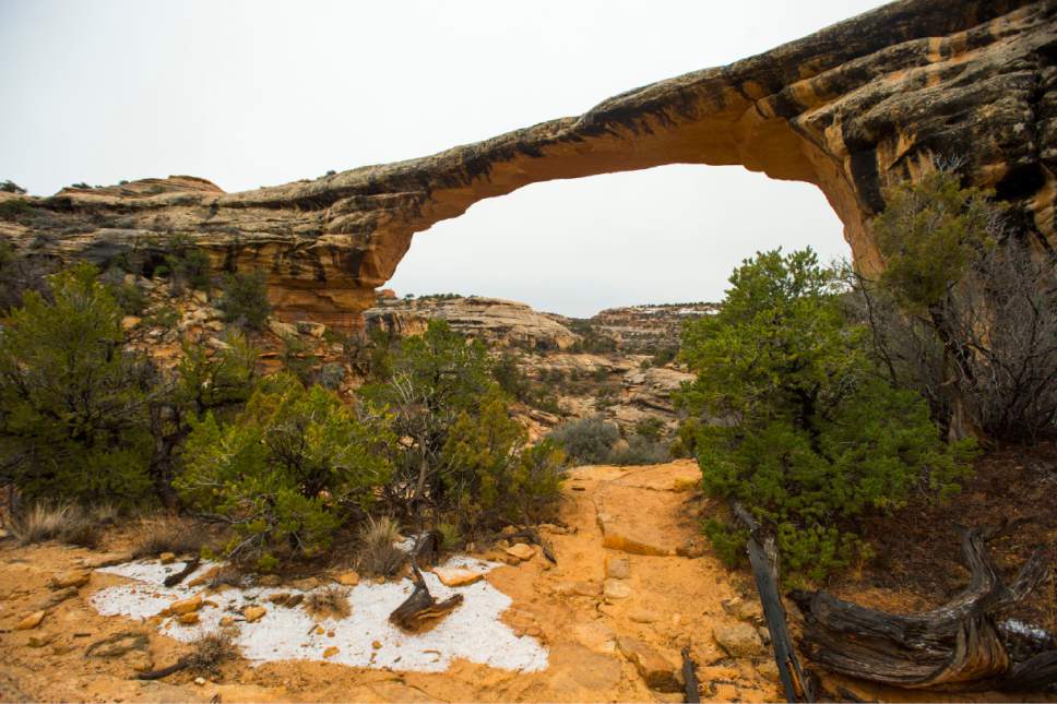 Rick Egan  |  The Salt Lake Tribune

Owachomo Bridge, in Natural Bridges National Monument, Friday, January 13, 2017.