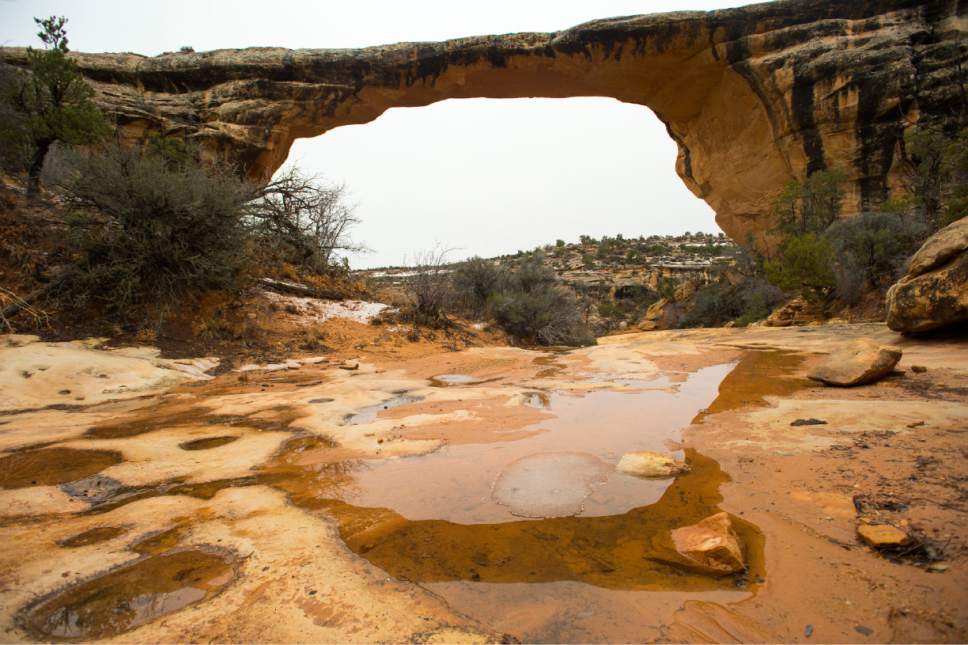 Rick Egan  |  The Salt Lake Tribune

Owachomo Bridge, in Natural Bridges National Monument, Friday, January 13, 2017.