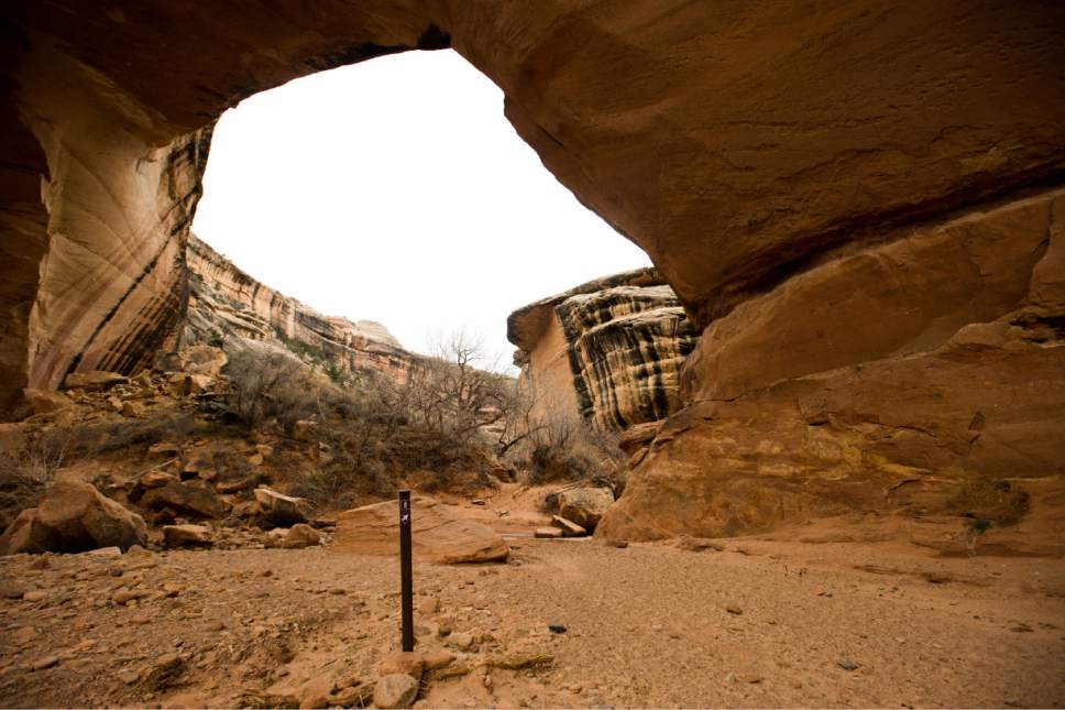 Rick Egan  |  The Salt Lake Tribune

Kachina Bridge, in Natural Bridges National Monument, Friday, January 13, 2017.