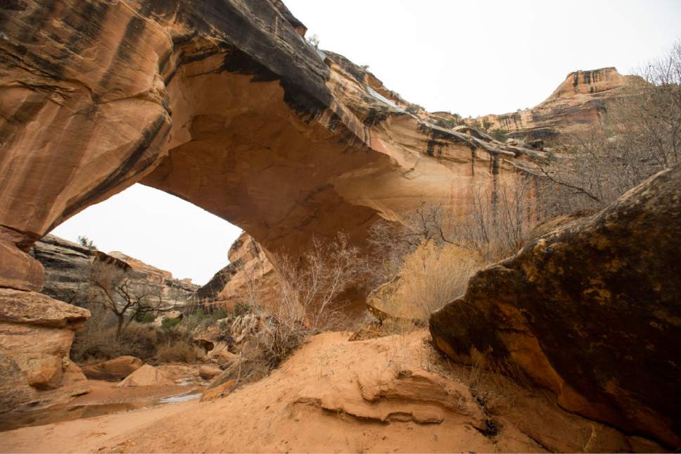 Rick Egan  |  The Salt Lake Tribune

Kachina Bridge, in Natural Bridges National Monument, Friday, January 13, 2017.