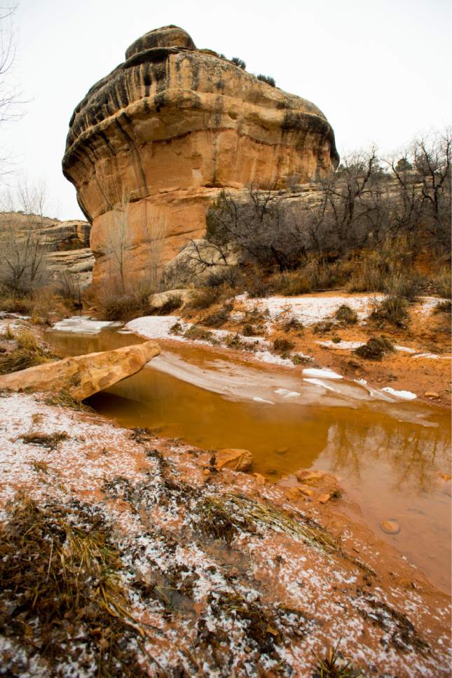 Rick Egan  |  The Salt Lake Tribune

Ice floats on the water next to the trail between Owachomo Bridge and Kachina Bridge, in Natural Bridges National Monument, Friday, January 13, 2017.