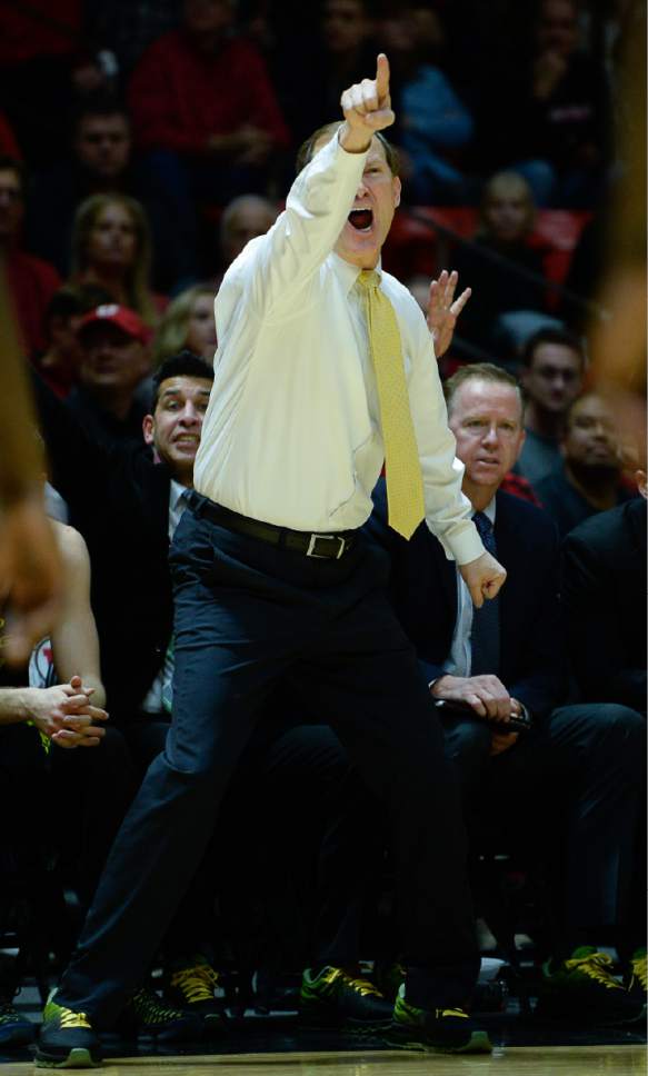 Francisco Kjolseth | The Salt Lake Tribune
Oregon coach Dana Altman screams out to his team playing Utah during the first half of the NCAA college basketball game at the Huntsman Center in Salt Lake City, Thursday, Jan. 26, 2017.