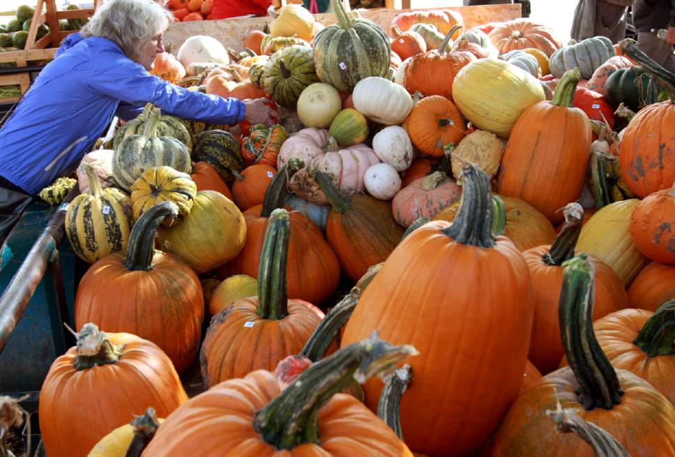 Keith Johnson |   Tribune file photo
 
Margaret King admires the variety of gourds for sale at the Wilkerson Farm stand at the downtown Farmer's Market at Pioneer Park in downtown Salt Lake City. This season's last Saturday market is this weekend.