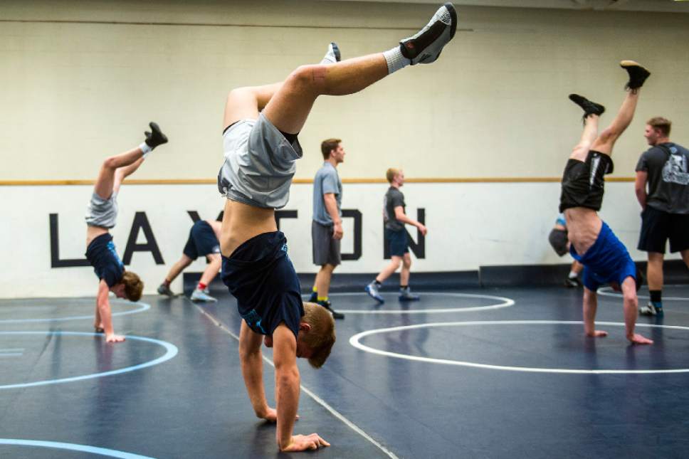 Chris Detrick  |  The Salt Lake Tribune
Members of the wrestling team walk on their hands during a practice at Layton High School Thursday January 26, 2017.