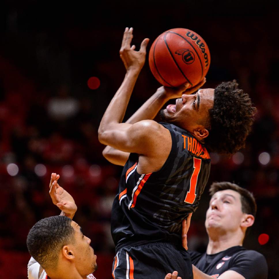Trent Nelson  |  The Salt Lake Tribune
Oregon State Beavers guard Stephen Thompson Jr. (1) puts up a shot in the final minute as the University of Utah hosts Oregon State, NCAA basketball at the Huntsman Center in Salt Lake City, Saturday January 28, 2017.