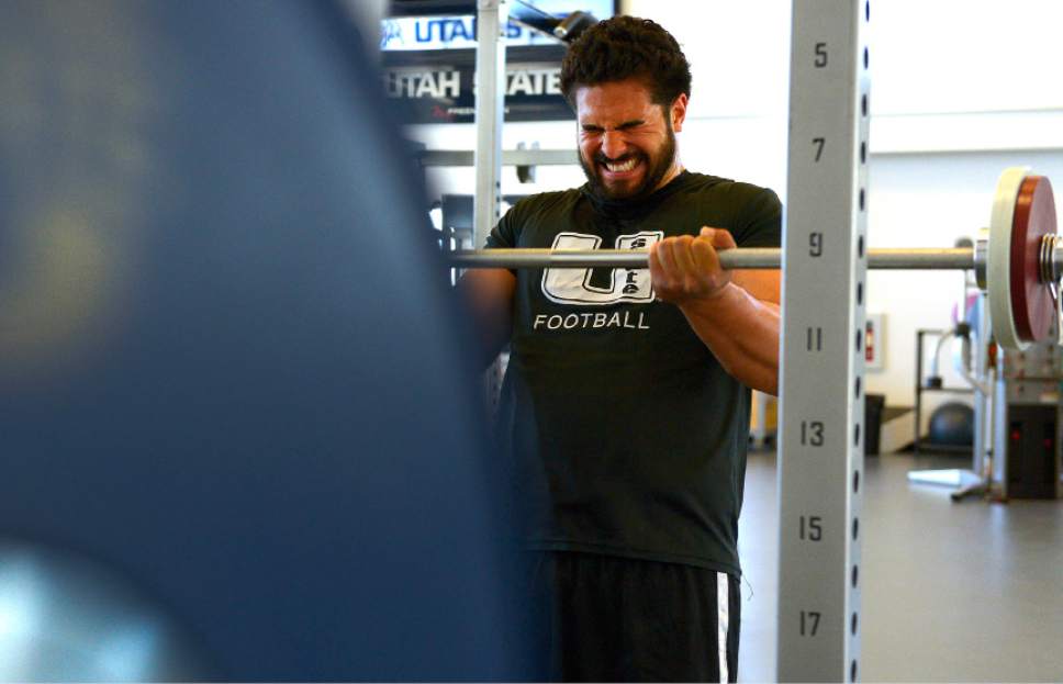 Leah Hogsten  |  The Salt Lake Tribune
Utah State tight end D.J. Tialavea works out April 30, 2014, at the Utah State strengthening and conditioning facility. Tialavea is on the brink of accomplishing an NFL dream that has required great sacrifices by both he and his family.