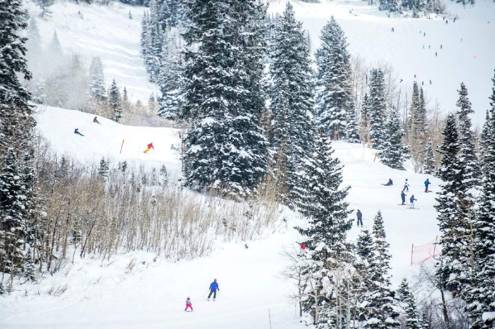 Chris Detrick  |  The Salt Lake Tribune
Skiers go down Lower Emma at Snowbird Wednesday December 30, 2015.