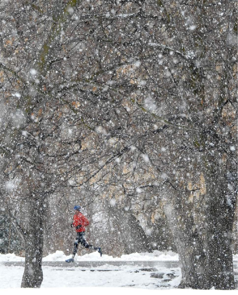 Francisco Kjolseth | Tribune file photo
Falling snow obscured a runner in Sugarhouse Park last month.