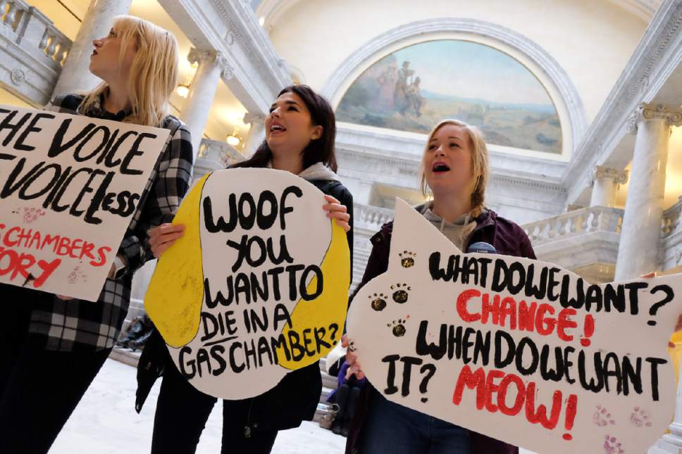 Francisco Kjolseth | The Salt Lake Tribune
Kendra Matern, and sisters Stacey and Zoe Welsh, from left, join the fight to stop using gas chambers to euthanize animals before a hearing for SB56, euthanasia by injection at the Utah Capitol on Tuesday, Feb. 7, 2017. Out of 57 animal shelters the Humane Society of Utah tracks, seven have gas chambers.