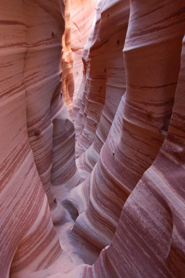 Tribune File Photo
Zebra Canyon is a popular feature in Grand Staircase - Escalante National Monument.