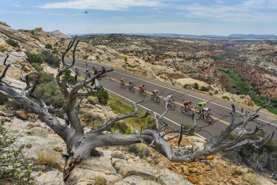 Francisco Kjolseth | The Salt Lake Tribune
Cyclists race along the scenic Byway 12 above Calf Creek and the Grand Staircase-Escalante National Monument beyond on Tuesday, Aug. 2, 2016, as part of stage 2 of the Tour of Utah cycling race.