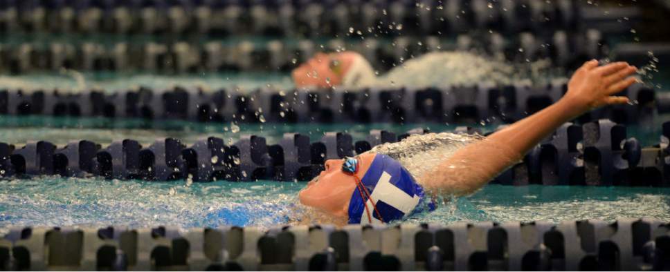 Steve Griffin  |  The Salt Lake Tribune


Lindsay Stevens, of Dixie, center, competes in the first heat of the 200 IM during the first day of the state 3A swimming championships at the BYU natatorium in Provo Friday February 10, 2017