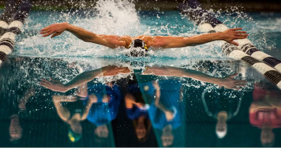 Steve Griffin  |  The Salt Lake Tribune


Ian James, of Wasatch High School, rises out of the glass smooth water on his first stroke of his fly in the finals of the 200 IM during the first day of the state 4A swimming championships at the BYU natatorium in Provo Friday February 10, 2017. James placed second in the event.