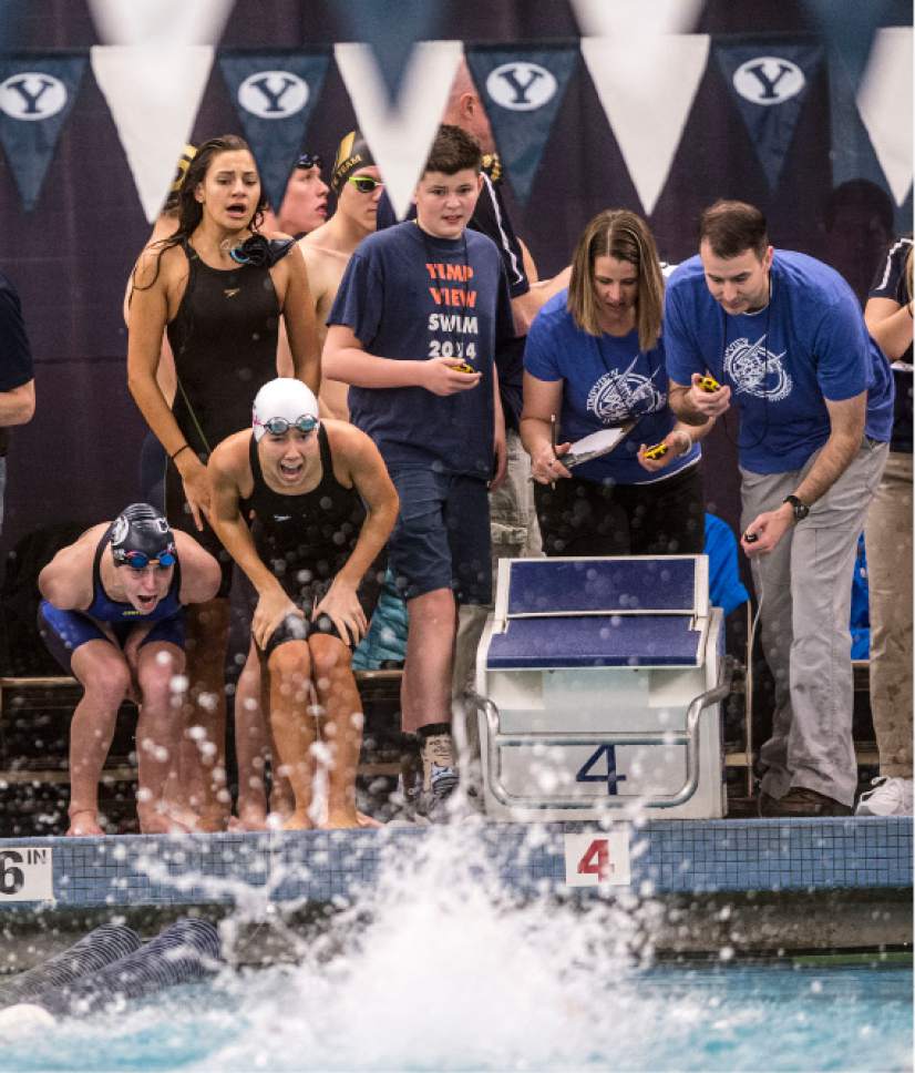 Steve Griffin  |  The Salt Lake Tribune


Members of the Corner Canyon girls 200 medley relay team scream encouragement to their teammate during the first day of the state 4A swimming championships at the BYU natatorium in Provo Friday February 10, 2017