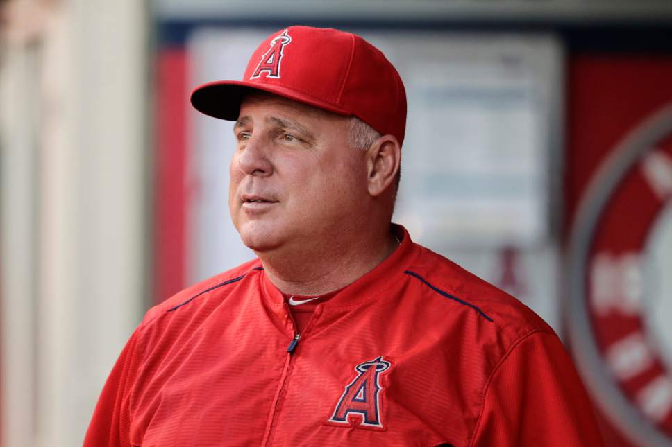 Baseball: After 18 seasons with Angels, Mike Scioscia still loves the ...