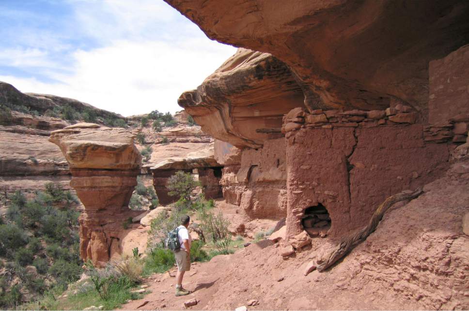 Al Hartmann  |  The Salt Lake Tribune 
Backpacker explores an Anasazi ruin under a sandstone alcove in a canyon on Cedar Mesa in San Juan County.  The area is included for a proposed Bears Ears National Monument.