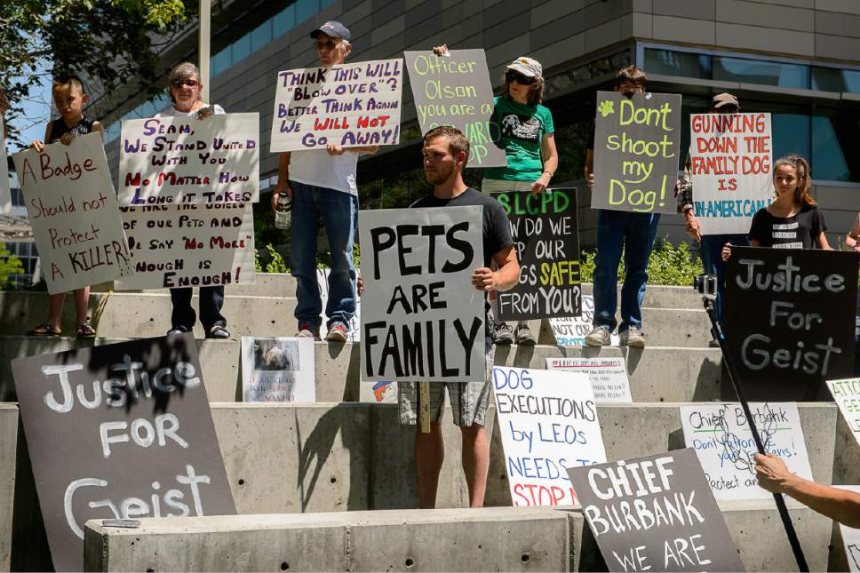Trent Nelson  |  The Salt Lake Tribune
About twenty people and a few pets rally outside Salt Lake City police headquarters in June, 2015, with dog owner Sean Kendall, whose Weimaraner was fatally shot by police.