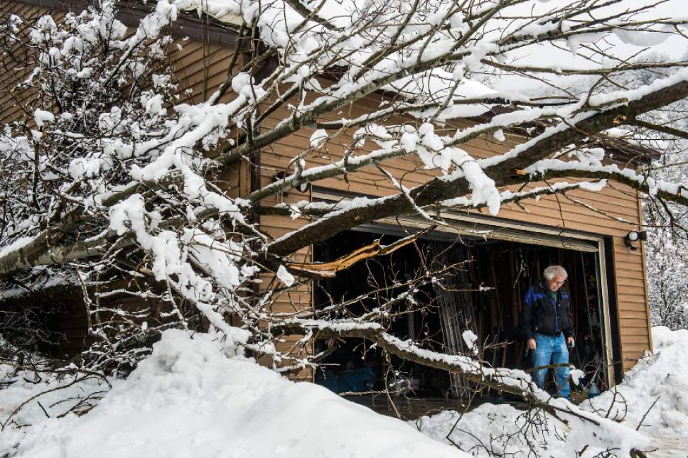 Chris Detrick  |  The Salt Lake Tribune
Ted McGrath looks at the damage caused from a 150 foot-wide mudslide at his home in Eden Wednesday February 22, 2017.