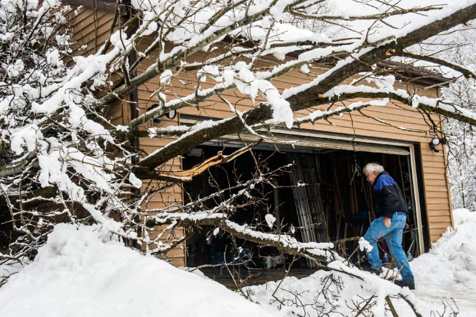 Chris Detrick  |  The Salt Lake Tribune
Ted McGrath looks at the damage caused from  a 150 foot-wide mudslide at his home in Eden Wednesday February 22, 2017.