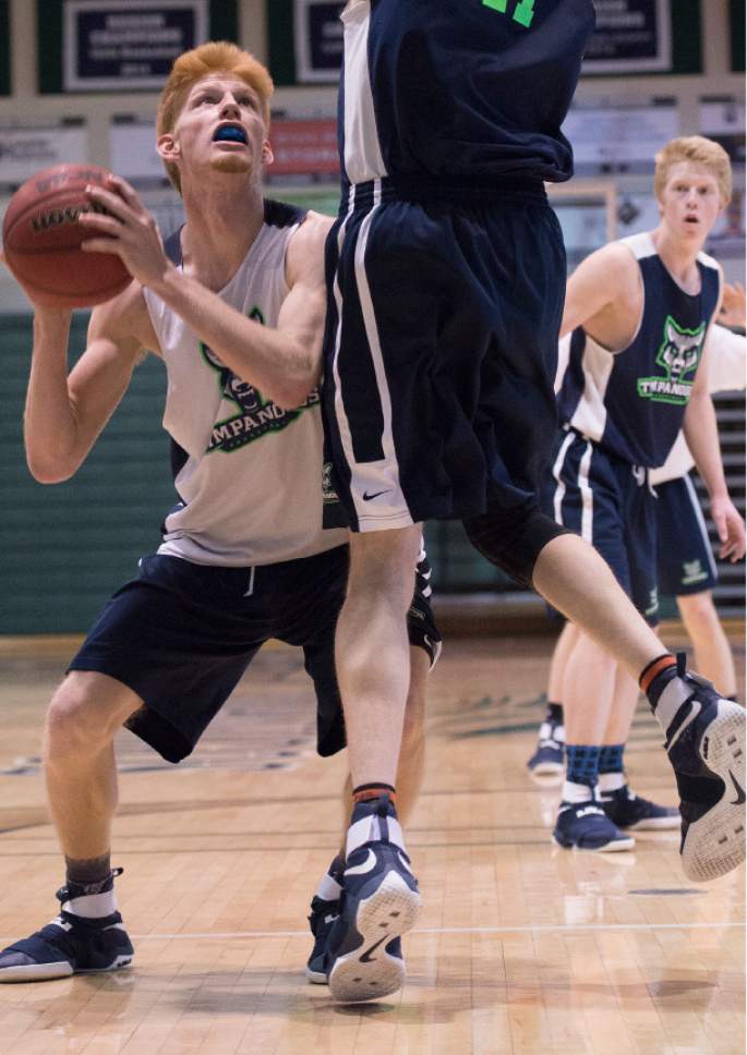 Leah Hogsten  |  The Salt Lake Tribune
 Timpanogos High School boys' basketball player Tyler Walker drives to the net during practice February 16, 2017.