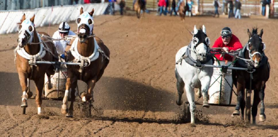 Rick Egan  |  The Salt Lake Tribune

Johnson Family #1 and CA & Bennett/Taqueria El Rodeo compete in the 2nd Utah Division in the 2017 Utah & Idaho State Cutter and Chariot Racing Championships, at Golden  Spike Events Center in Ogden, Sunday, February 26, 2017.