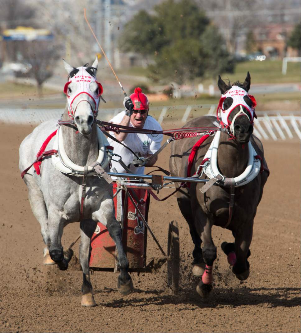 Rick Egan  |  The Salt Lake Tribune

OK Boys #2 competes in the 3rd Utah Division in the 2017 Utah & Idaho State Cutter and Chariot Racing Championships, at Golden  Spike Events Center in Ogden, Sunday, February 26, 2017.
