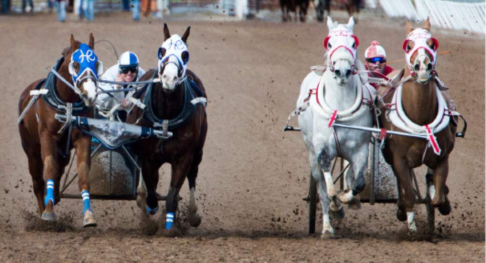 Rick Egan  |  The Salt Lake Tribune

Hadley Racing and OK Boys #1 run neck and neck at the finishline as they compete in the 2nd Utah Division in the 2017 Utah & Idaho State Cutter and Chariot Racing Championships, at Golden  Spike Events Center in Ogden, Sunday, February 26, 2017.