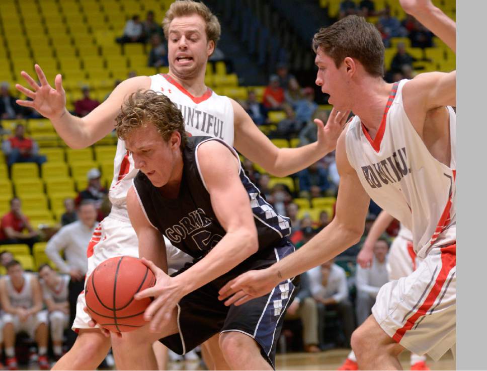 Leah Hogsten  |  The Salt Lake Tribune
Corner Canyon's Michael Scheffner pulls down the rebound. Corner Canyon High School defeated Bountiful High School 62-42 during their 4A State boys' basketball playoff game at the UCCU Center on Utah Valley University's campus, Tuesday, February 28, 2017.