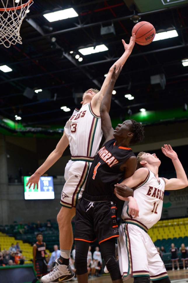 Leah Hogsten  |  The Salt Lake Tribune
Maple Mountain's Dawson Beutler tries to pull down the rebound. Maple Mountain High School defeated Murray High School 78-47 during their 4A State boys' basketball playoff game at the UCCU Center on Utah Valley University's campus, Tuesday, February 28, 2017.
