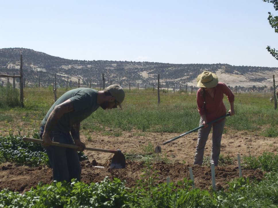 Kathy Stephenson  |  The Salt Lake Tribune
Farm co-manager, Tony Jacobsen, left, and Nina Brownell prep the soil for planting at the farm for Hells Backbone Grill in Boulder, Utah.