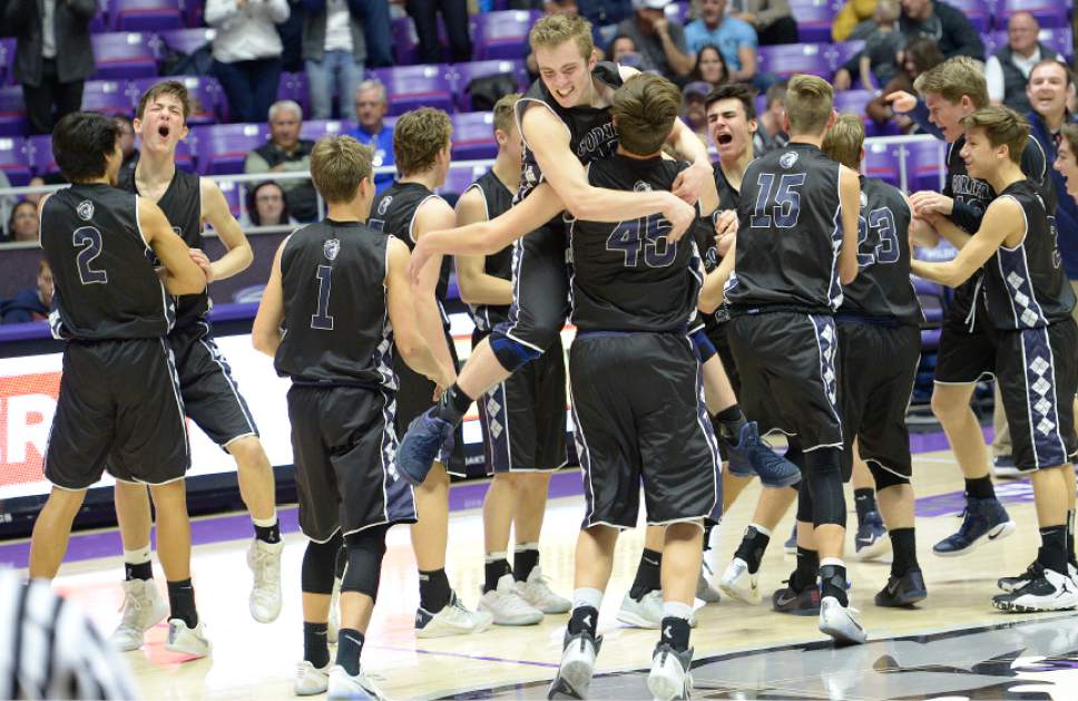 Leah Hogsten  |  The Salt Lake Tribune
Corner Canyon celebrates the win. Corner Canyon High School defeated Maple Mountain High School 69-67 during their 4A State boysí basketball quarterfinal playoff game at Weber State University's Dee Events Center, Thursday, March 2, 2017.