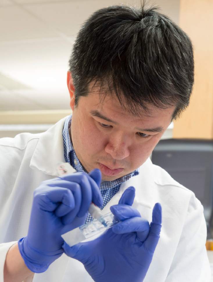 Rick Egan  |  The Salt Lake Tribune
Wei-Chao Huang works in researcher Christopher Gregg's lab at the University of Utah. The team has explored cells in the brain and other regions in the body that preferentially activate one parent's copy of a gene over the other.