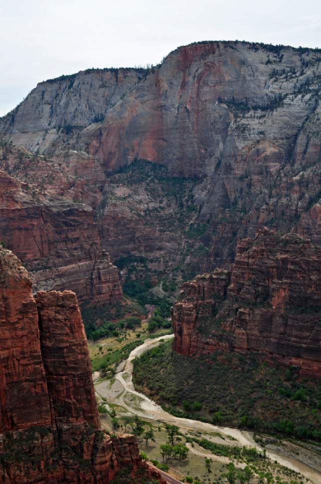Erin Alberty  |  The Salt Lake Tribune
From Angels Landing, hikers can view sharp canyon walls that were carved over millennia by the Virgin River.