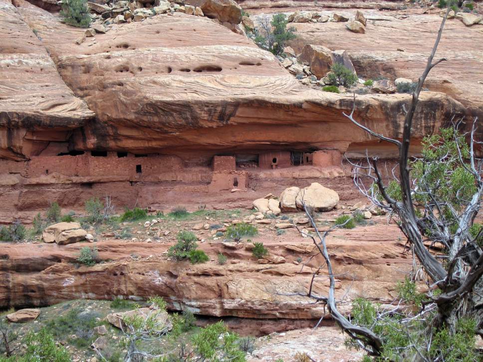 Al Hartmann  |  The Salt Lake Tribune 
 Anasazi structures built under a sandstone alcove in a canyon on Cedar Mesa in San Juan County and part of Bears Ears National Monument.