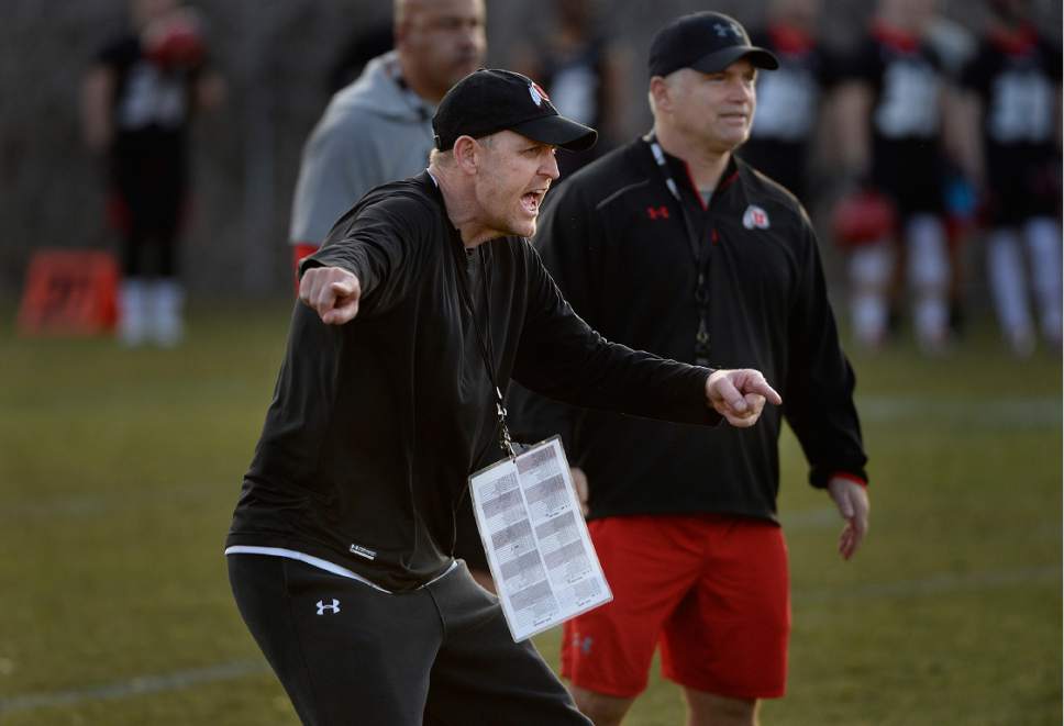 Scott Sommerdorf | The Salt Lake Tribune
New offensive coordinator Troy Taylor shouts some instructions during Utah football practice, Thursday, March 9, 2017.