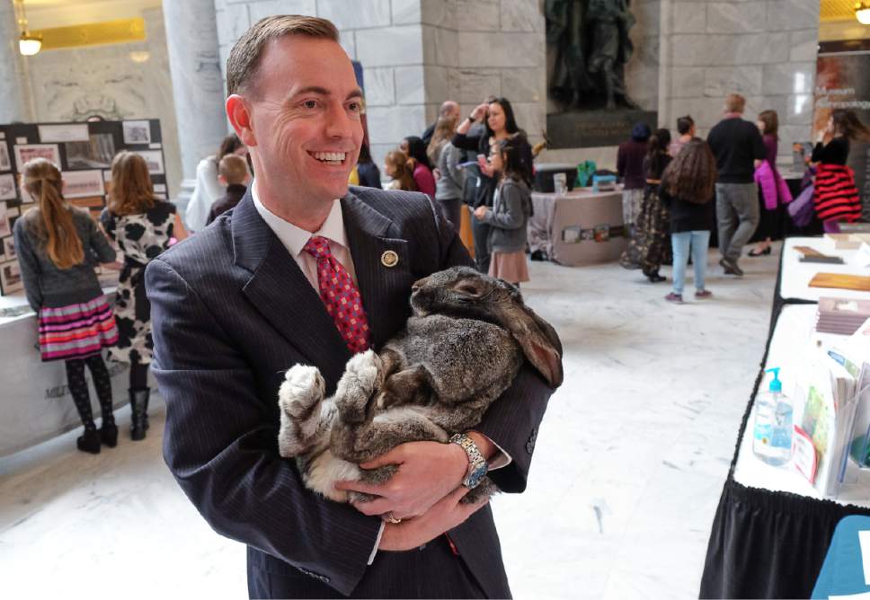 Francisco Kjolseth |  Tribune file photo
Rep. Mike Winder, R-West Valley City, holds a 20-pound rabbit named Kenny Rogers as members of Wheeler Farm participate in Museum Day at the State Capitol in Salt Lake City Tuesday, Feb. 28, 2017.