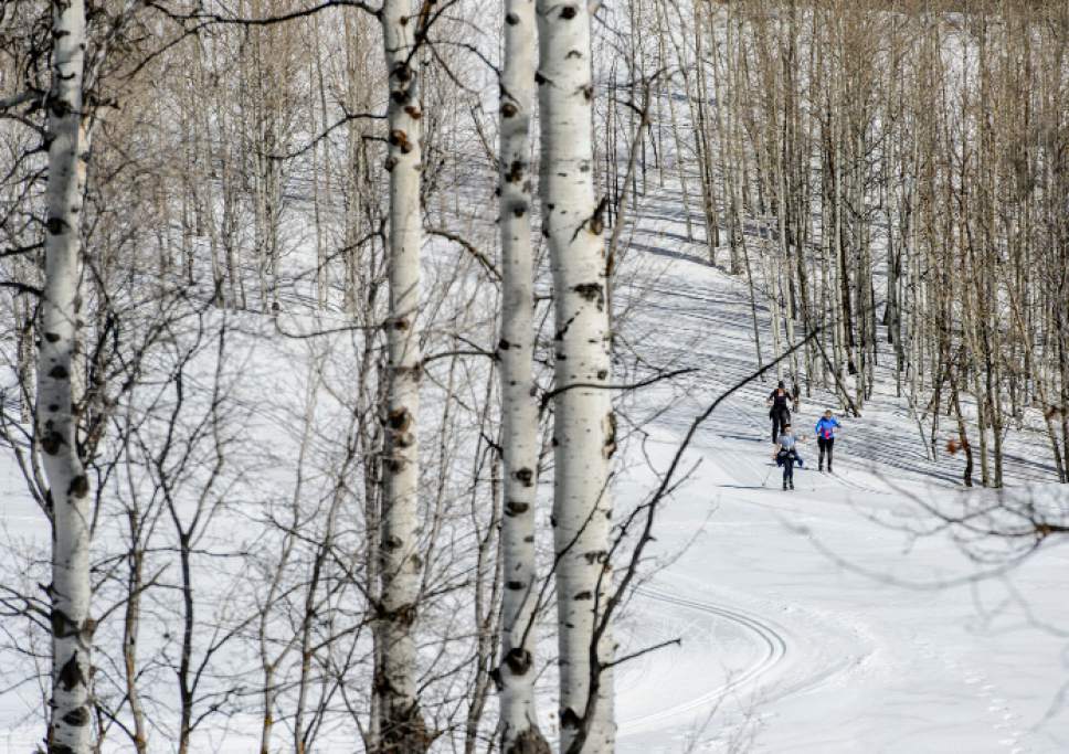 Steve Griffin  |  The Salt Lake Tribune


The snowshoe trail at the Sundance Nordic Center criss crosses the Nordic ski trail in Provo Canyon on Thursday, March 9, 2017.
