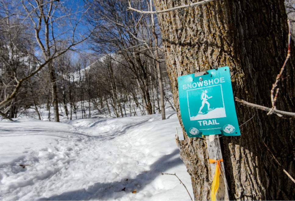 Steve Griffin  |  The Salt Lake Tribune


Trail markers guide the way at the Sundance Nordic Center snowshoe trail in Provo Canyon on Thursday, March 9, 2017.