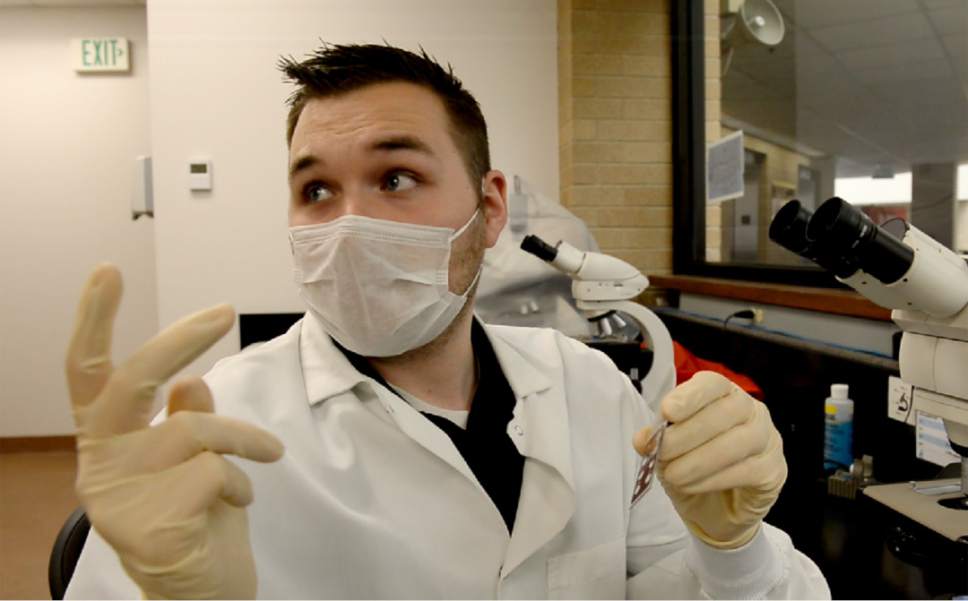 Rick Egan  |  The Salt Lake Tribune

Serologist Adam Yankee explains how scientists find  DNA evidence using red and green dye at the Utah Department of Public Safety's crime laboratory.