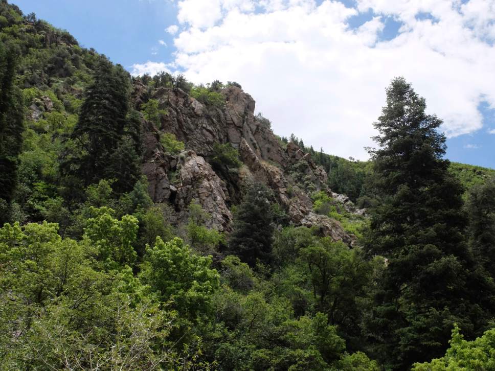 Nate Carlisle  |  The Salt Lake Tribune

The North Fork of Deaf Smith Canyon offers plenty of shade, a creek and views of the Salt Lake Valley.