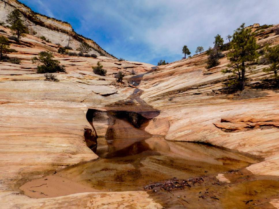 Erin Alberty | The Salt Lake Tribune
Many Pools is a beautiful, family-friendly hike with little traffic and great educational value in Zion National Park.