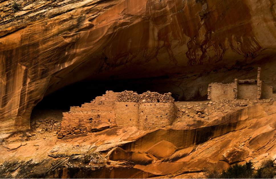 Rick Egan  |  The Salt Lake Tribune

Monarch Cave, in the Butler Wash, near where Mary Benally spent a year of her childhood east of Comb Ridge in Bears Ears National Monument. Thursday, January 12, 2017.