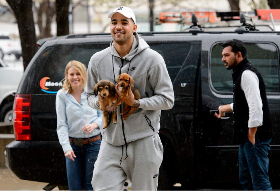 Steve Griffin  |  The Salt Lake Tribune


In celebration of National Puppy Day Utah Jazz forward Trey Lyles in partnership with UberPUPPIES, UBER's special dog delivery service, and Nuzzles and Co., a Park City non-profit that promotes awareness for pet adoption, holds two dachshund puppies after climbing out of his UBER at Vivint Smart Home Arena. The puppies were delivered to Salt Lake City businesseses for employees to play with for 15-minute visits in Salt Lake City Thursday March 23, 2017.