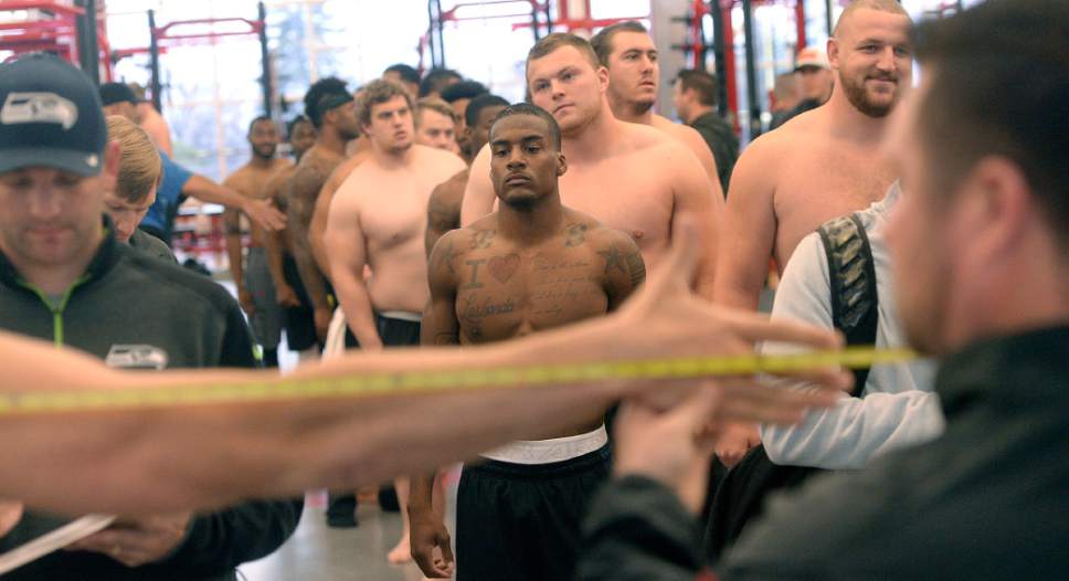 Al Hartmann  |  The Salt Lake Tribune
University of Utah football NFL Draft hopefuls get weighed and measured before moving on to lift weights and  field drills to prove to NFL teams that they're ready to fight for a job Thursday March 23.