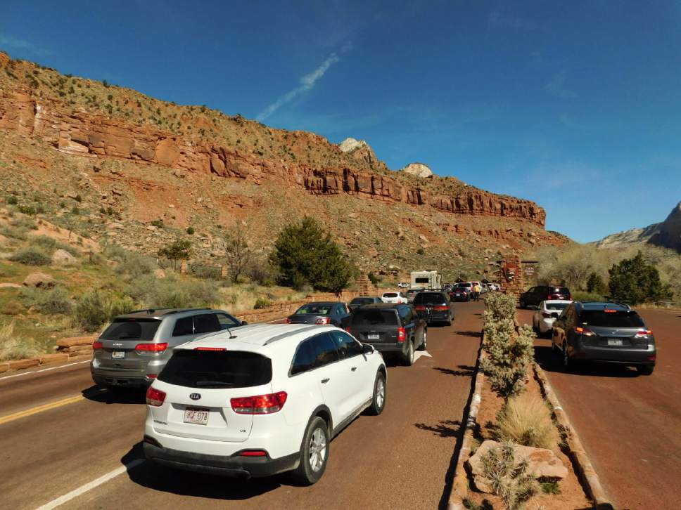 Erin Alberty | The Salt Lake Tribune
With or without crowds, Zion National Park, the nation's fifth-most visited national park, is an irreplaceable destination.