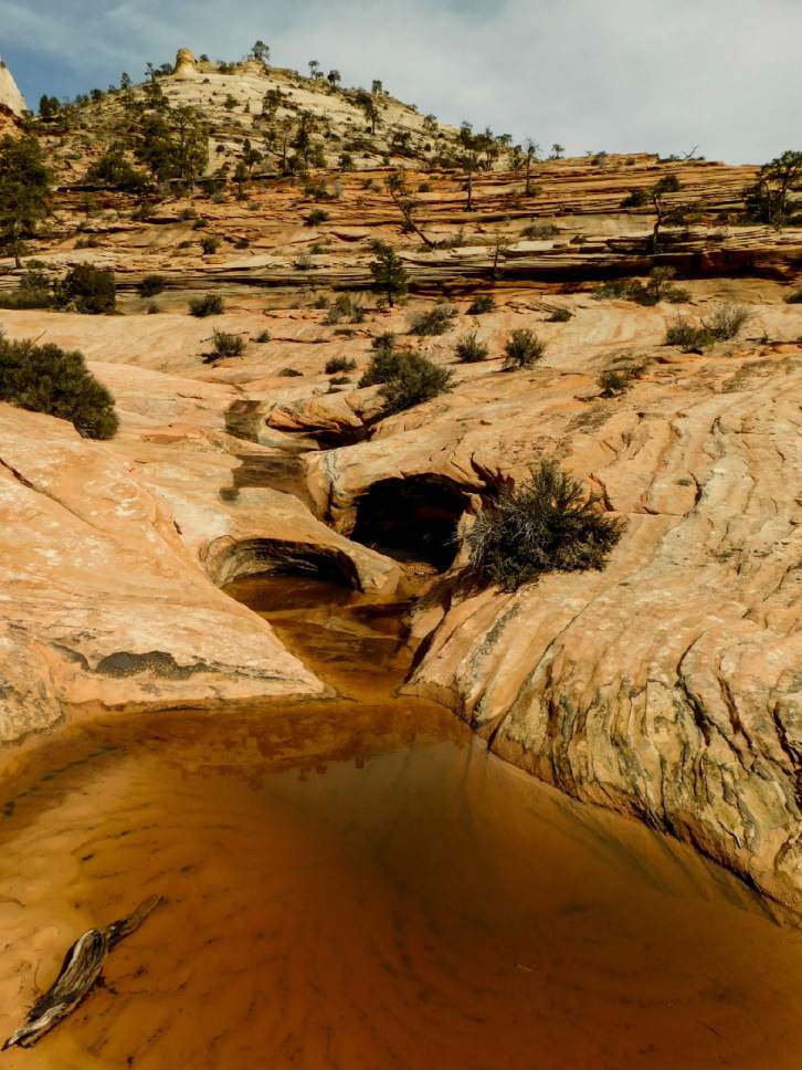 Erin Alberty | The Salt Lake Tribune
Many Pools is a beautiful, family-friendly hike with little traffic and great educational value in Zion National Park.