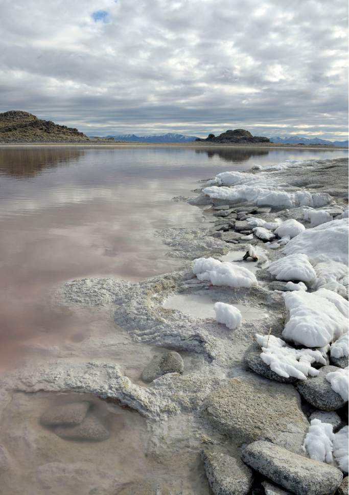 Al Hartmann  |  The Salt Lake Tribune
Salt formations line the shore of Gunnison Island surrounded by the super salty pink lemonade-colored water of the Great Salt Lake.  Utah Division of Wildlife Rescources, University of Utah and Westminster College scientists visited the Island in the northwest corner of the Great Salt Lake Wednesday March 10.  The group did field research and installed cameras to understand how dropping lake levels affect the pelican population.